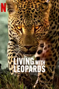 Living with Leopards (2024) อยู่กับเสือดาว