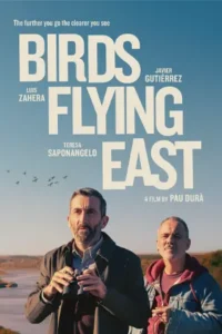 Birds Flying East (2024)